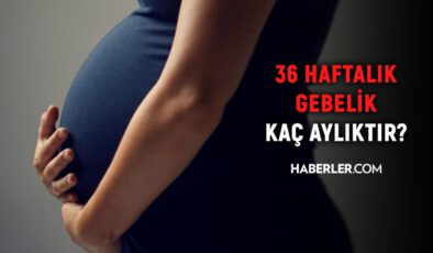 36 haftalık gebelik kaç aylık oluyor? Hamilelikte doğru bilinen yanlışlar!