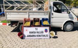 Kırkağaç’ta meyve bahçesinden incir çalan 5 kişi suçüstü yakalandı