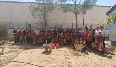 Okul bahçesinde fidan diktiler