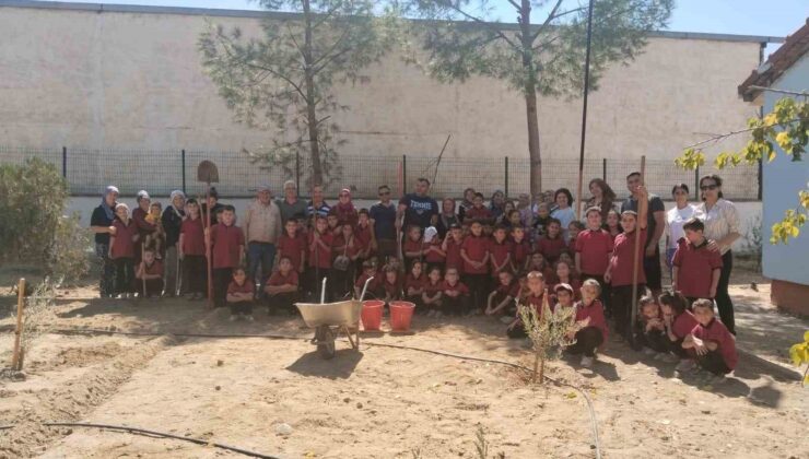 Okul bahçesinde fidan diktiler