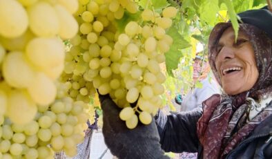 Ekim ayı bitiyor, üzüm bitmiyor