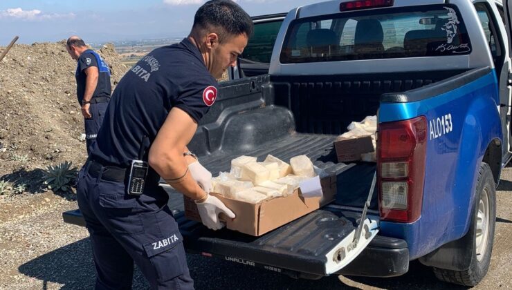 Manisa’da 49 kilo bozuk peynir imha edildi