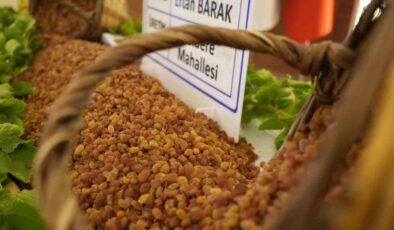 Manisa’nın 9 aylık tarım ihracatı 706,7 milyon dolara ulaştı