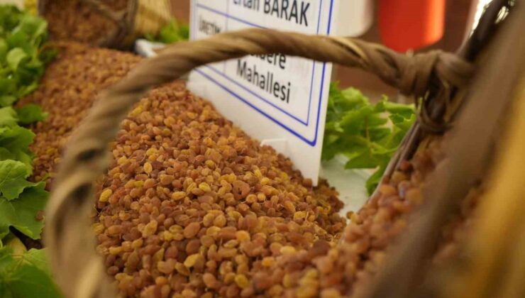 Manisa’nın 9 aylık tarım ihracatı 706,7 milyon dolara ulaştı