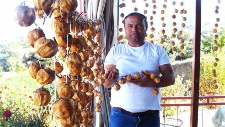 Sarıgöl’de balkonlar cennet elmasıyla renklendi