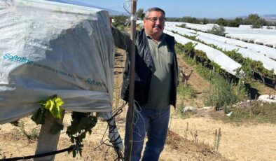 Üzüm bağını hırsızlara karşı kamera ile koruyor