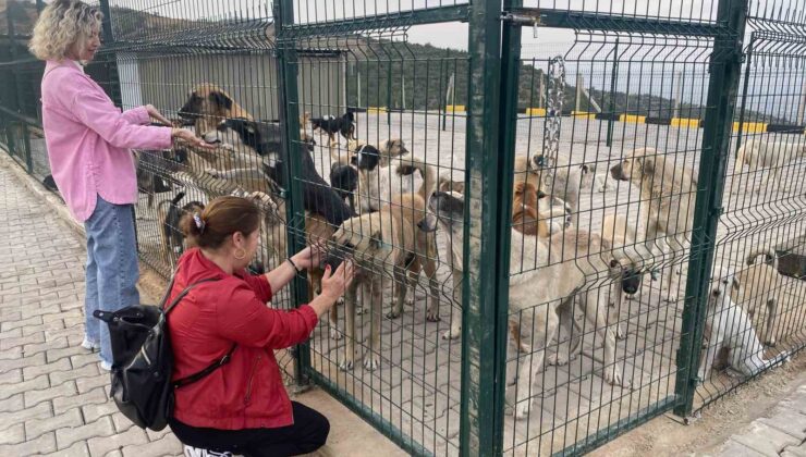 Alaşehir’de 30 dönümlük doğal yaşam alanı açıldı