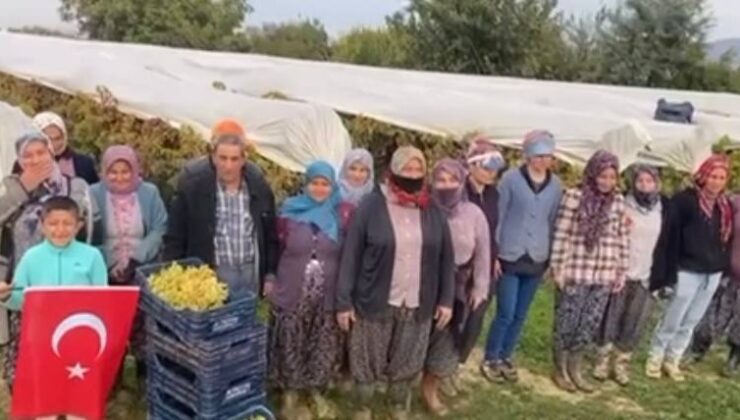 Bağlarda siren sesi yankılandı