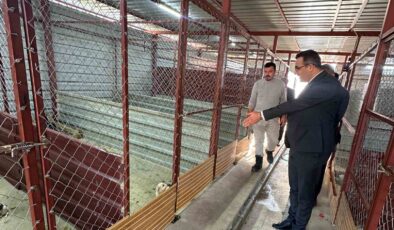 Sarıgöl’de hayvan bakım hizmetlerine yakın takip