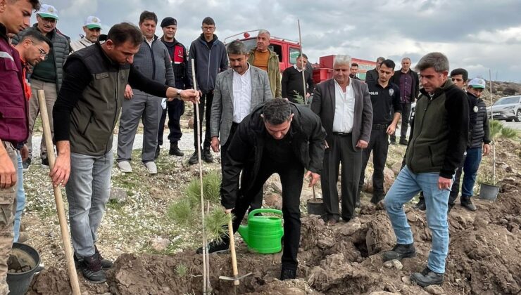 Selendi’de 800 fidan toprakla buluşturuldu