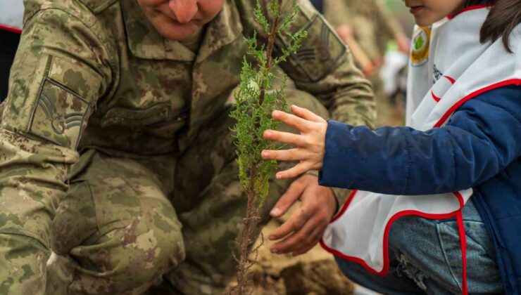 Yangında küle dönen ormanları minik eller yeşertecek