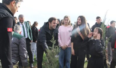 Yangında küle dönen ormanlık alanda fidan diktiler