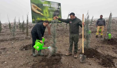Baybatur’dan yanan orman alanlarına bin fidan