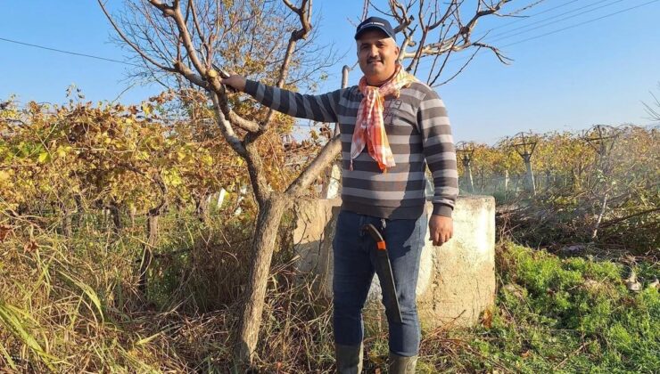 Çiftçinin mesaisi kışın da sürüyor