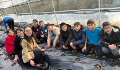 Gördes’te çilekler engelliler için yetişecek