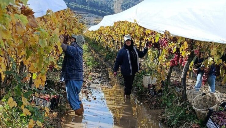 İşçiler yağmur ve çamuru aldırış etmeden üretime devam ediyor