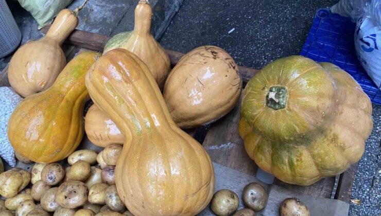 Kendisi ayrı, çekirdeği ayrı şifa kaynağı