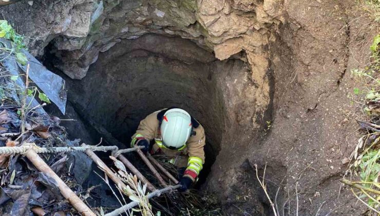 Kırkağaç’ta kuyuya düşen köpek itfaiye ekiplerince kurtarıldı