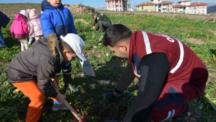 Manisa’da yanan alanlara 100 bininci fidan dikildi