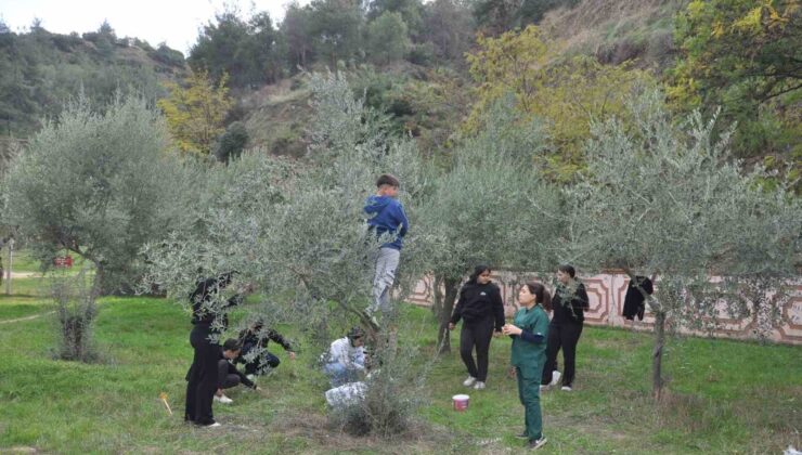 Manisa’da “Zeytin 5.0 Projesiyle” çocuklar hem öğrendi hem üretti