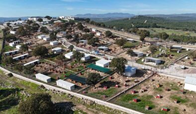 Yunusemre’de sokak hayvanlarına örnek yaşam merkezi