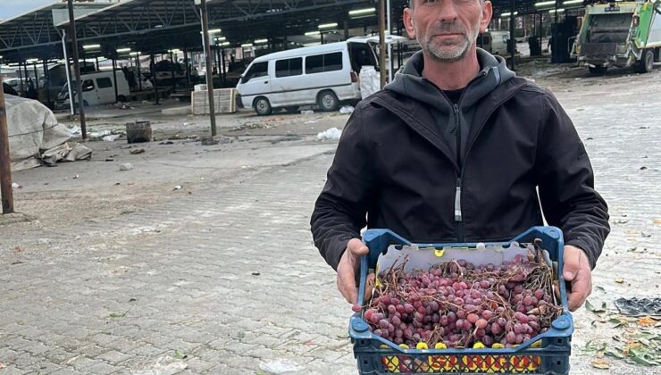 2025 yılı üzümlerini 2026’da bitirdi