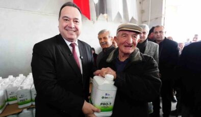 Don zararına karşı Manisa Büyükşehir’den üreticiye destek