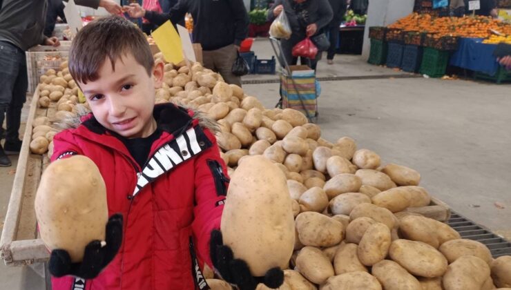 Sarıgöl pazarında dev patatesler ilgi odağı oldu