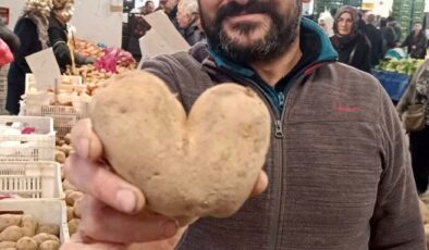 Kalp şeklindeki patates ilgi odağı oldu