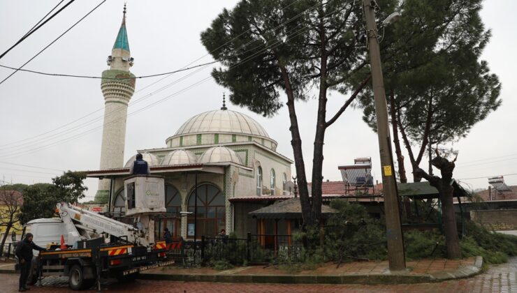 Şehzadeler Belediyesi’nin budadığı dallar ihtiyaç sahiplerinin ocağını ısıtıyor