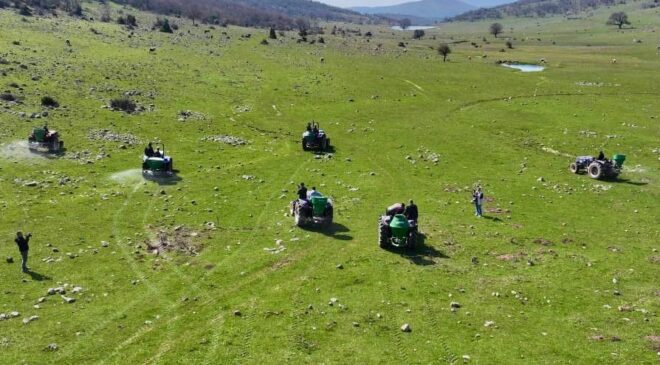 Manisa’da meralara 8,5 tonluk bereket