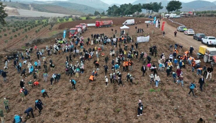 Manisa’da Orman Haftası’nda binlerce fidan toprakla buluştu