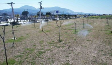 Manisa’da yeşil alanlarda akıllı sulama dönemi başladı