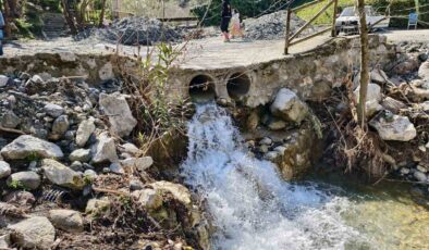 Mesir Tabiat Parkı’na ziyaretçi akını