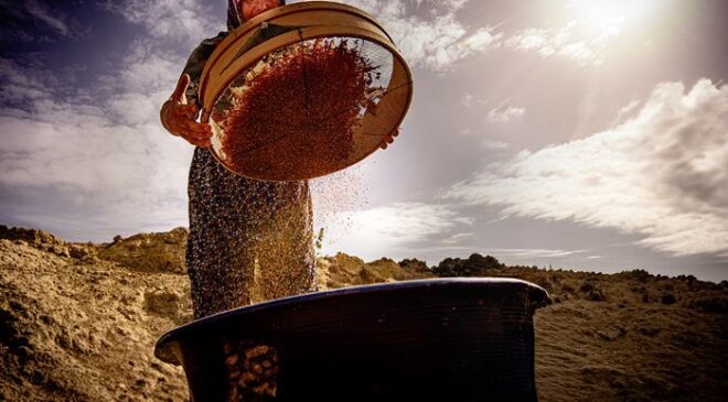 Salihli’de “Hayatın İçinden Kadın Fotoğrafları” sanal sergisi açıldı