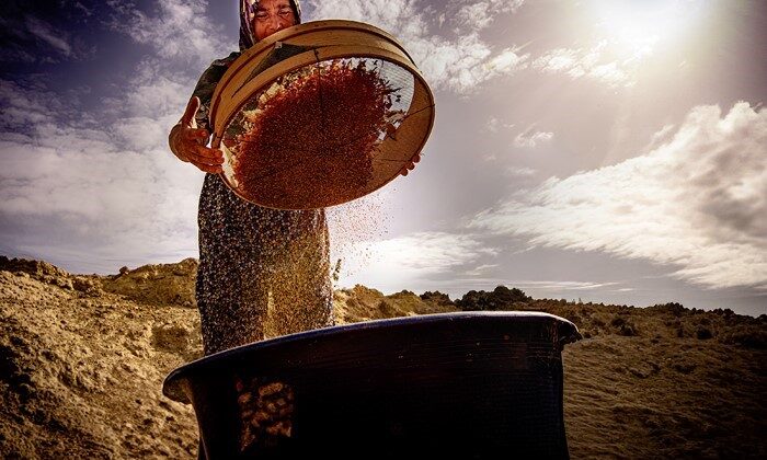 Salihli’de “Hayatın İçinden Kadın Fotoğrafları” sanal sergisi açıldı