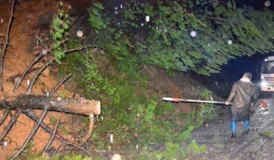 Yağış ağaçları devirdi, yol kısa sürede açıldı