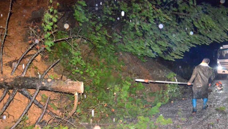 Yağış ağaçları devirdi, yol kısa sürede açıldı