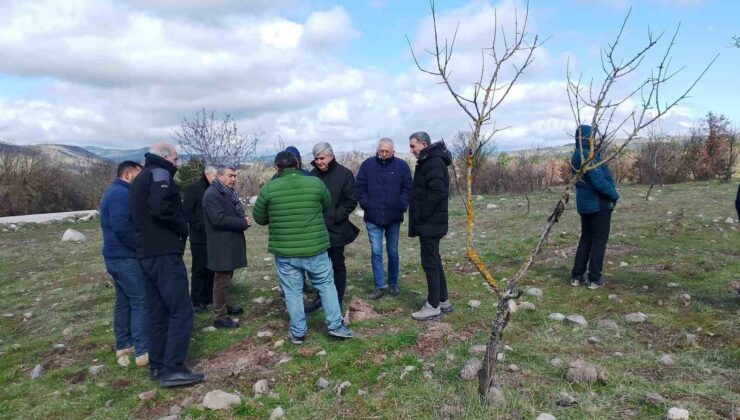 Yuntdağı’nda kırsal kalkınma atağı