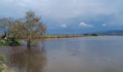 Sarıgöl Ovası’nda su sevinci