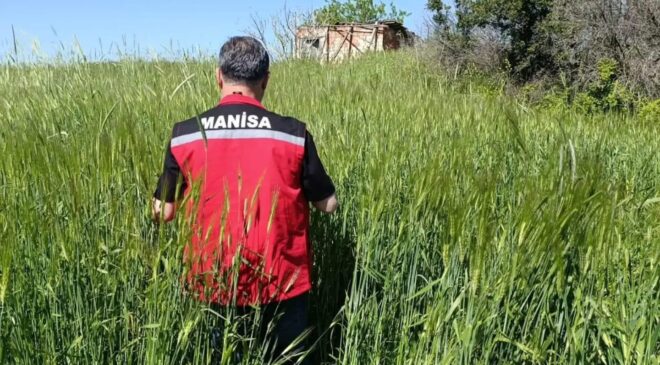 Sarıgöl’de huhubatta verim için ekipler sahada