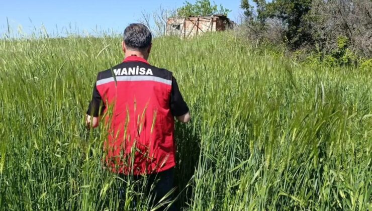 Sarıgöl’de huhubatta verim için ekipler sahada