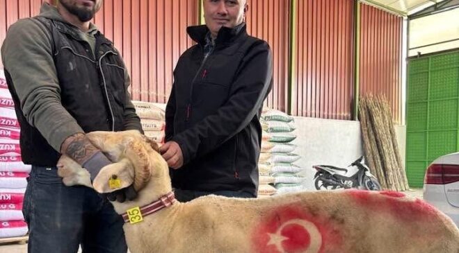Sarıgöl’de kurbanlık pazarı hareketlendi