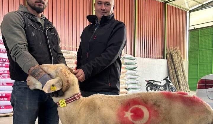 Sarıgöl’de kurbanlık pazarı hareketlendi