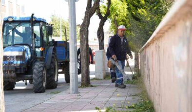 Yunusemre’de yaz mesaisi başladı