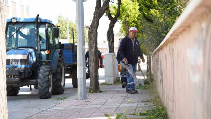 Yunusemre’de yaz mesaisi başladı