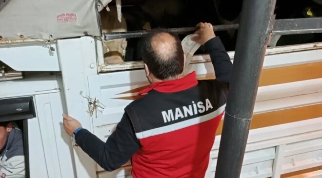 Salihli’de kurbanlık nakli yapan araçlara sıkı denetim
