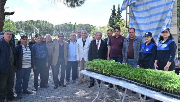 Salihlili üreticilere 34 bin sebze fidesi
