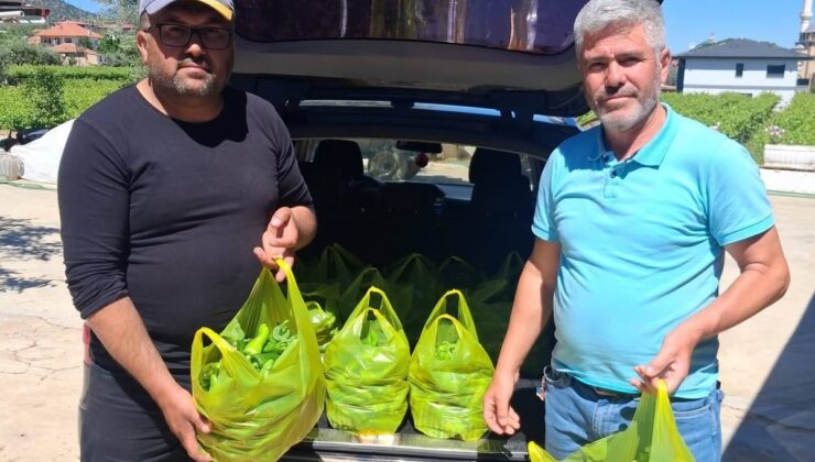 Sarıgöl’ün meşhur Emcelli biberi gurbetçilerin gözdesi oldu