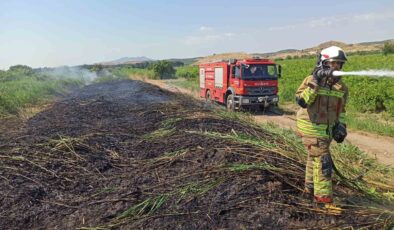 Aşırı sıcaklar Manisa’yı ateş çemberine çevirdi